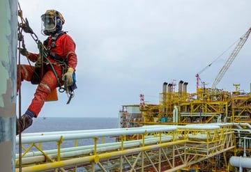 ehs software definition