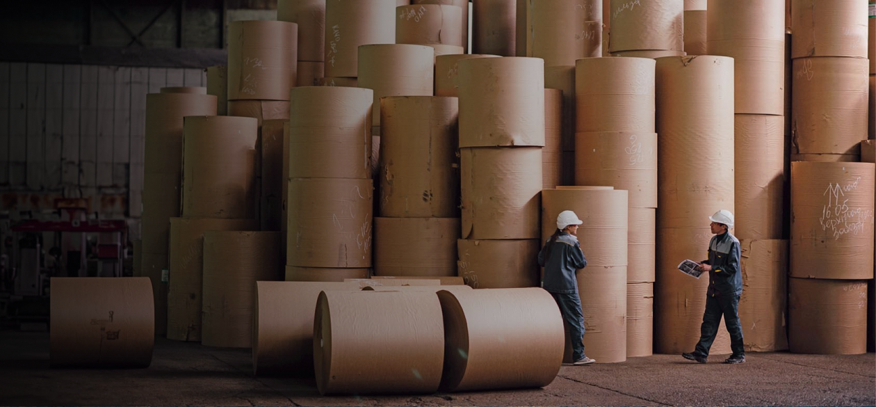 pulp paper eam software