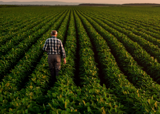 largest fertilizer company in the world