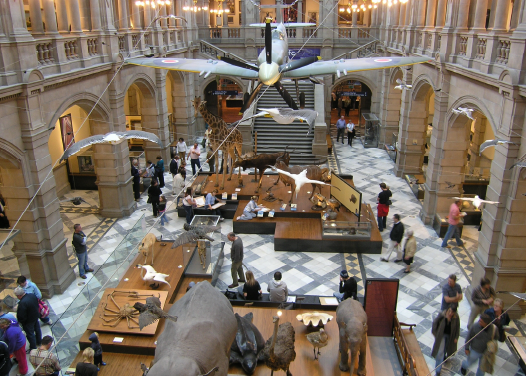 Museum inventory management mobile maximo