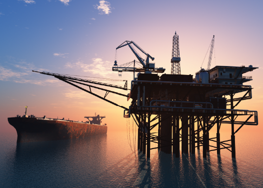 Royal dutch shell risk management case study