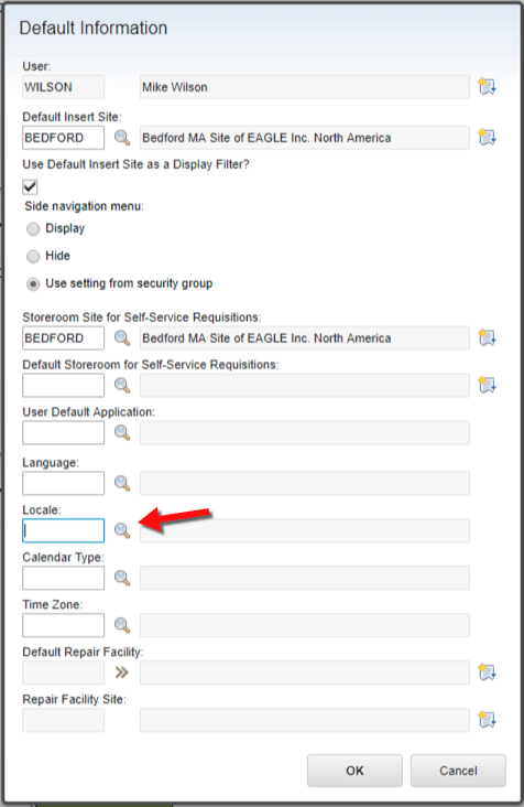 erp maximo date format