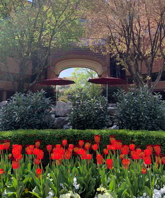 flowers at prometheus group raleigh nc office