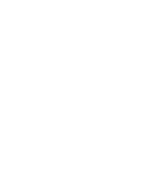 Location Pin Icon