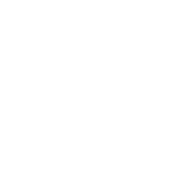 Multiple Documents Icon