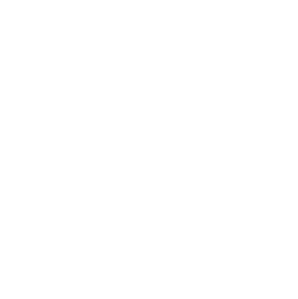 People & Organization Icon