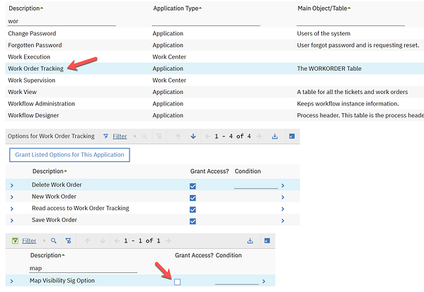 Granting access by checking Grant Access checkbox in IBM Maximo