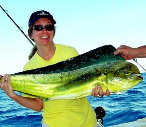 Melanie-Fish-Resized