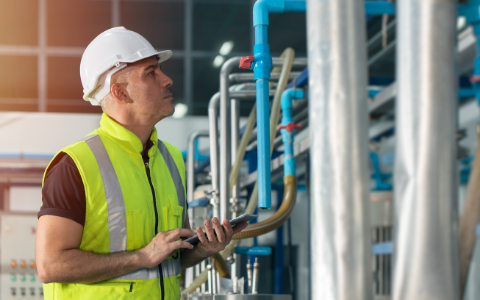 More Isolations and Permitting Mistakes to Fix Now | Prometheus Group
