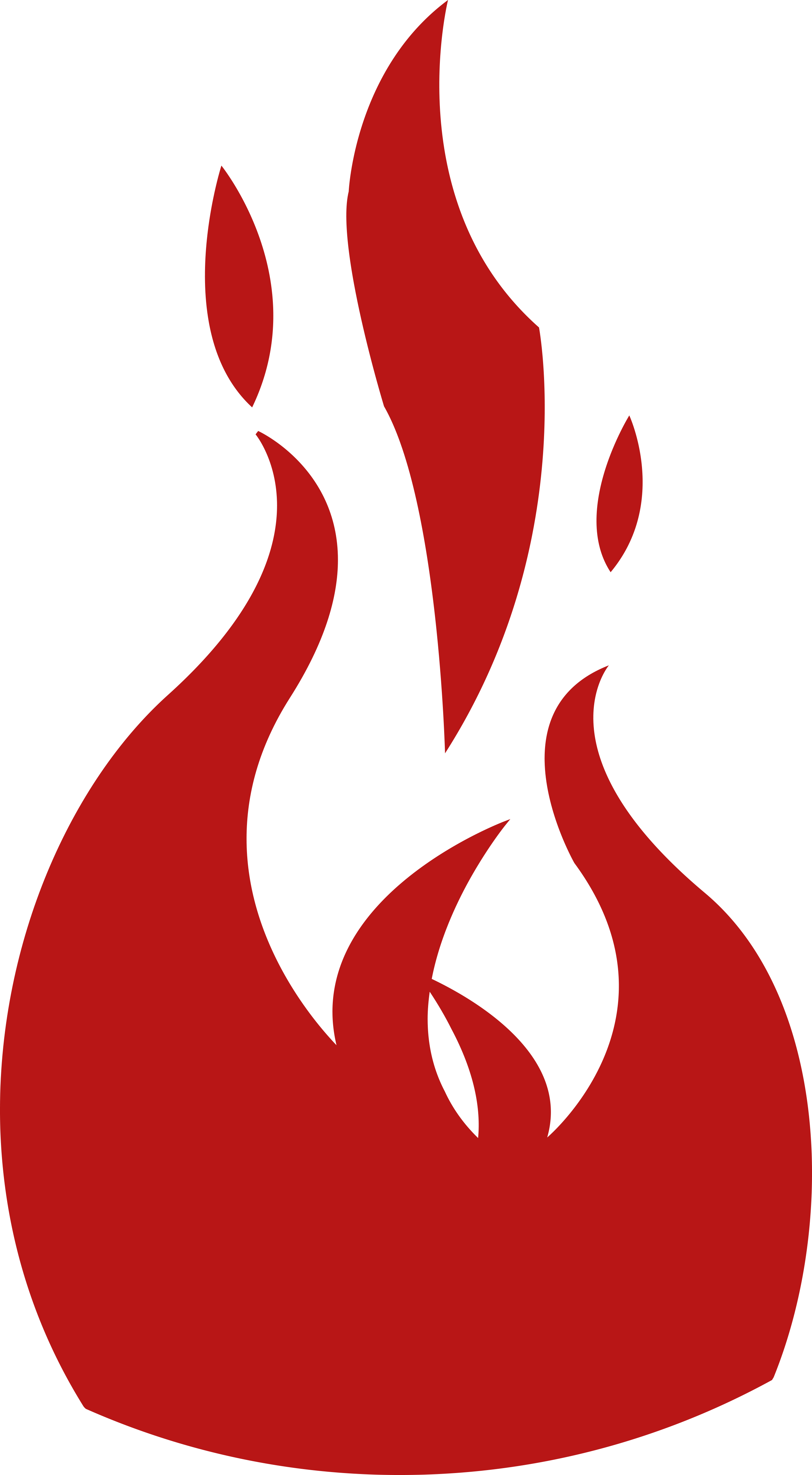 Flame_Negative_Red